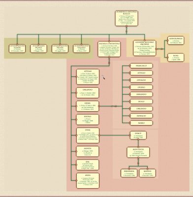 Veduta generale: L'albero Genealogico della Famiglia D'Angieri (2)