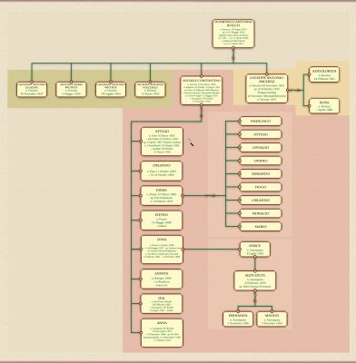 Veduta generale: L'albero Genealogico della Famiglia D'Angieri (2)