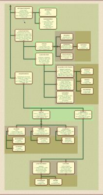 Veduta generale: L'albero Genealogico della Famiglia D'Angieri (4)