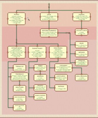 Veduta generale: L'albero Genealogico della Famiglia D'Angieri (6)